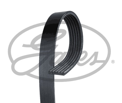Ribbed belt fits toyota - belt,