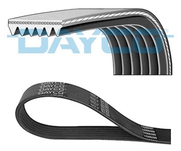 Ribbed belt fits toyota - v-ribbed,