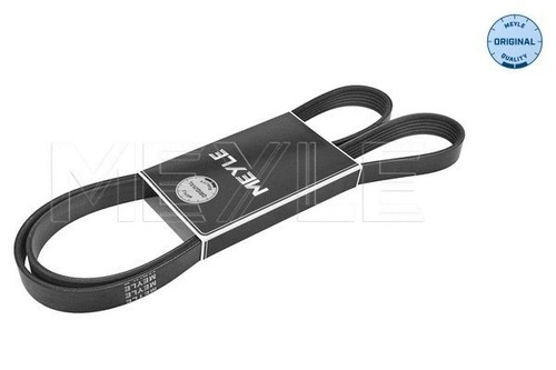 Ribbed belt fits opel - v-ribbed,